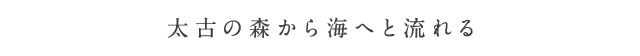 太古の森から海へと流れる