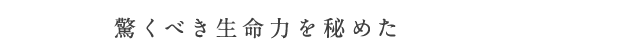 驚くべき生命力を秘めた