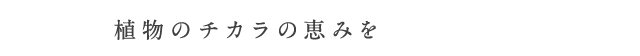 植物のチカラの恵みを